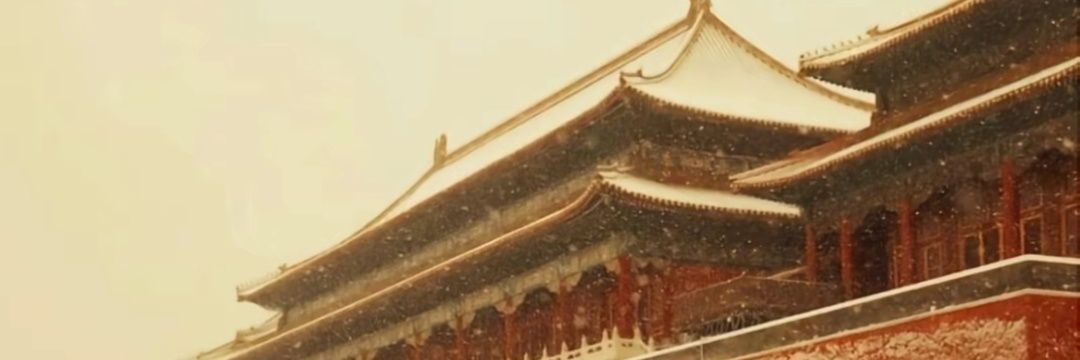奶盖选手 banner