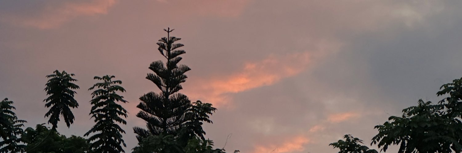 lalainedizon's profile banner image