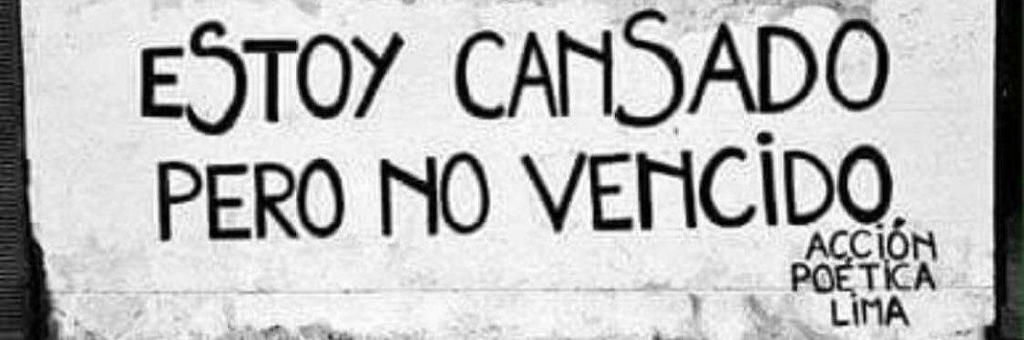 Paquito, o papagaio da Xuxa banner