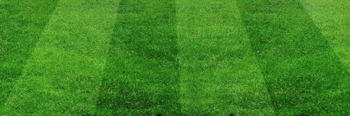 turfculture's profile banner image