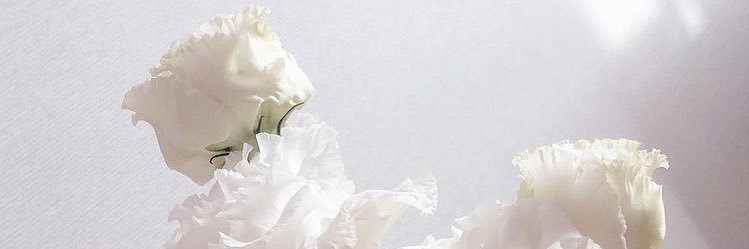 P78634093's profile banner image