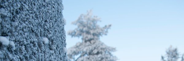 UefResource Profile Banner