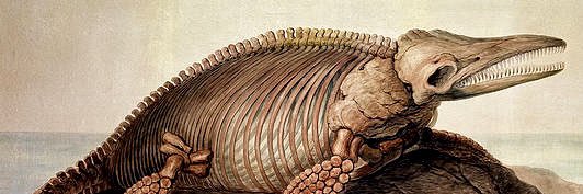 Yorkshire Natural History Museum banner