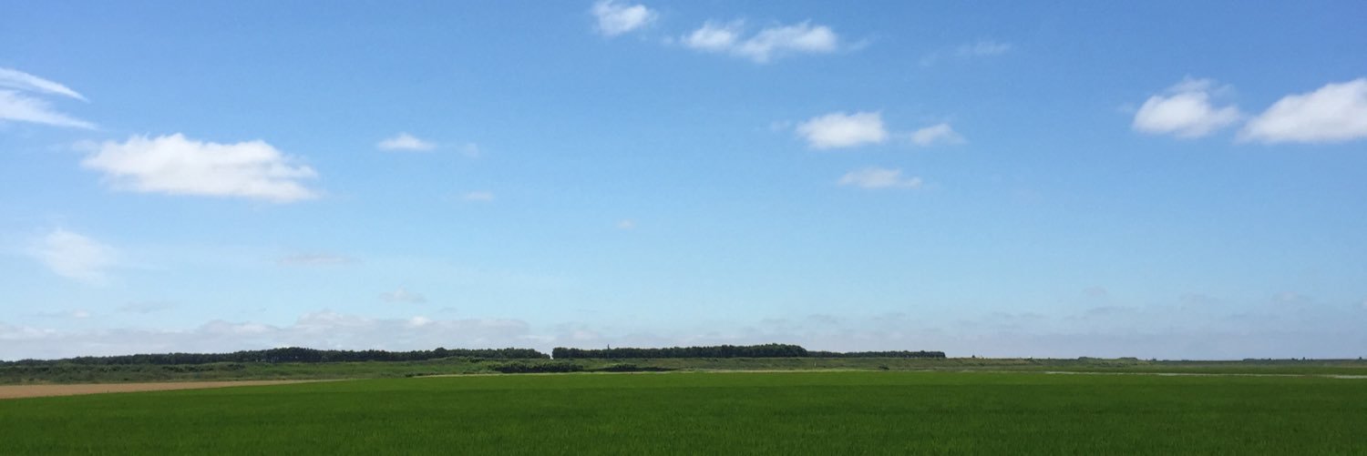 satomai625's profile banner image