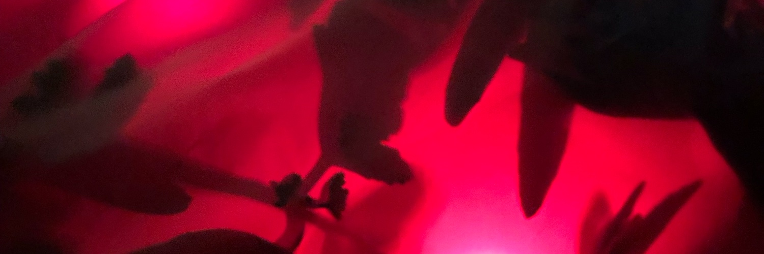 Kristín Loftsdóttir banner