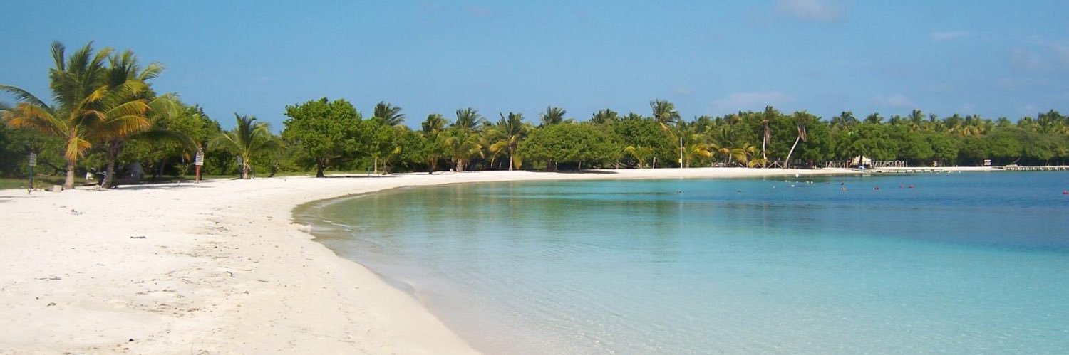 kikorostro's profile banner image
