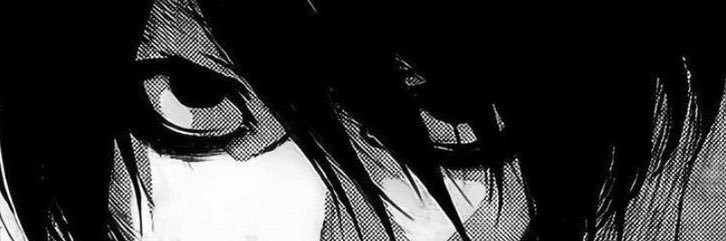 L banner