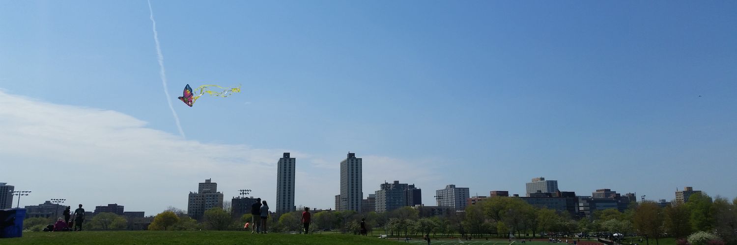 TaraTC's profile banner image