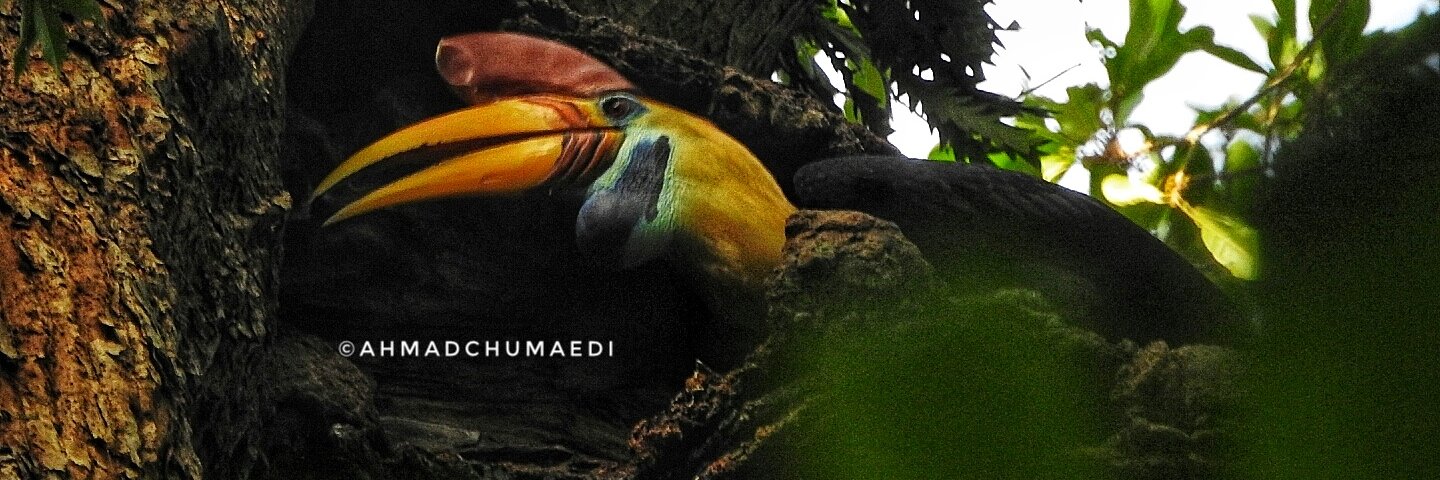 elt_hakim's profile banner image