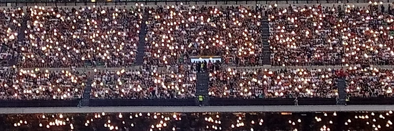 Faustanthonia banner