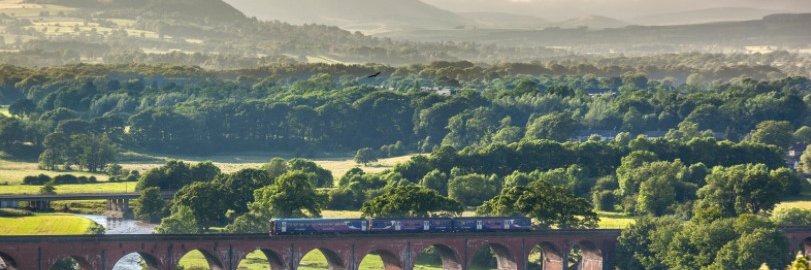 NWC_Cardiac_Network banner