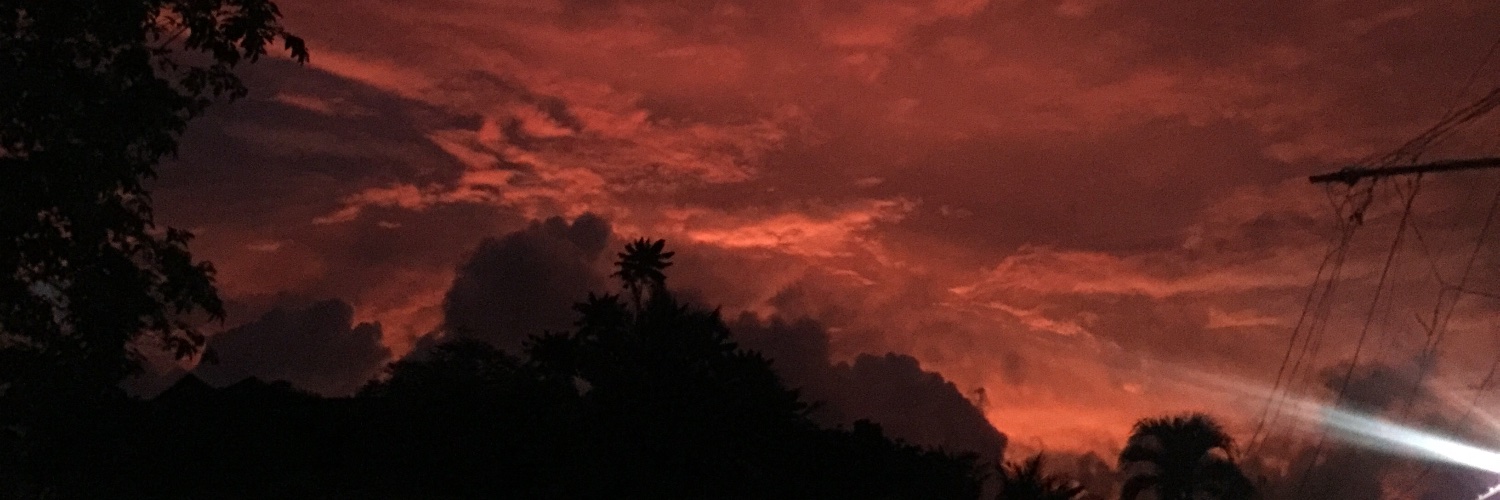 ellamaequiaroro's profile banner image