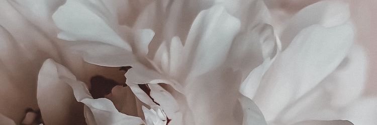 gorrryacheva's profile banner image