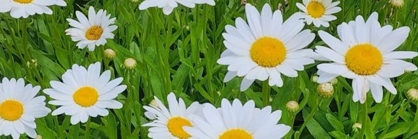 InnerAlchemy88 Profile Banner