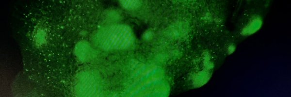 Eduardo92866960 Profile Banner