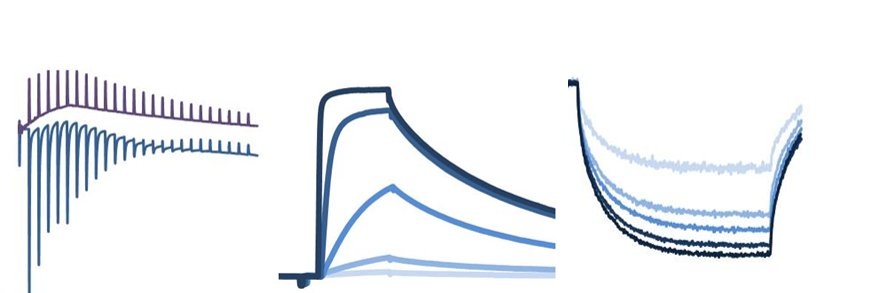 BiomolecularInteractionsLeeds banner