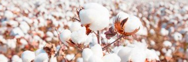 CCIMahabubnagar Profile Banner