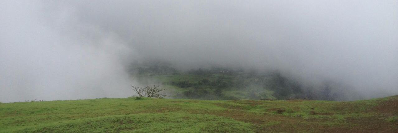 AVV banner