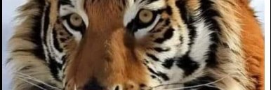marksenca's profile banner image