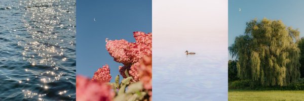StephRapo Profile Banner