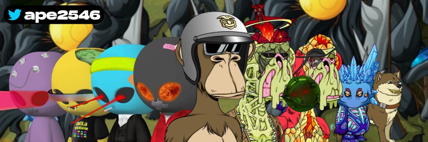 boreds.eth 💊 banner