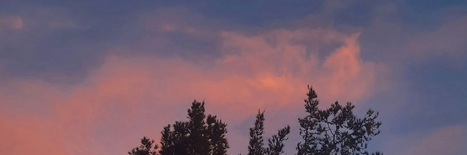 DaiELeon's profile banner image