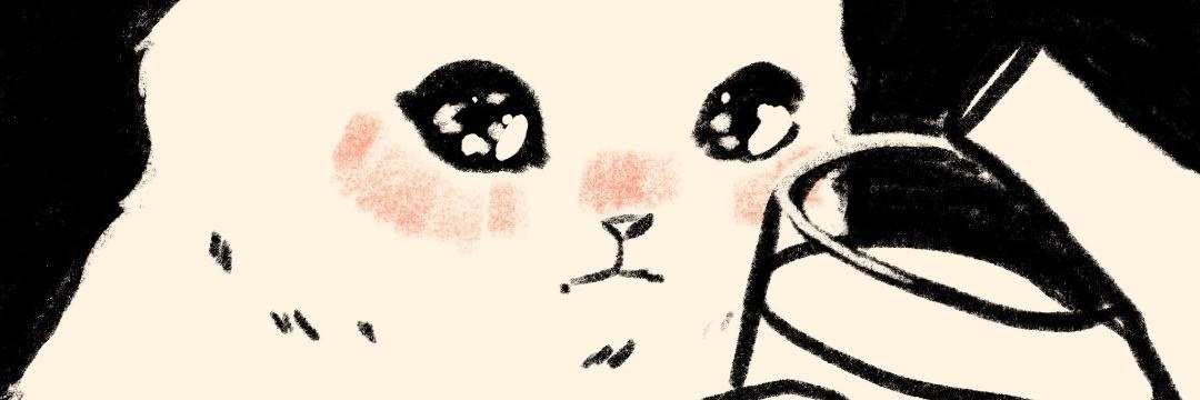 siyqueeeee's profile banner image