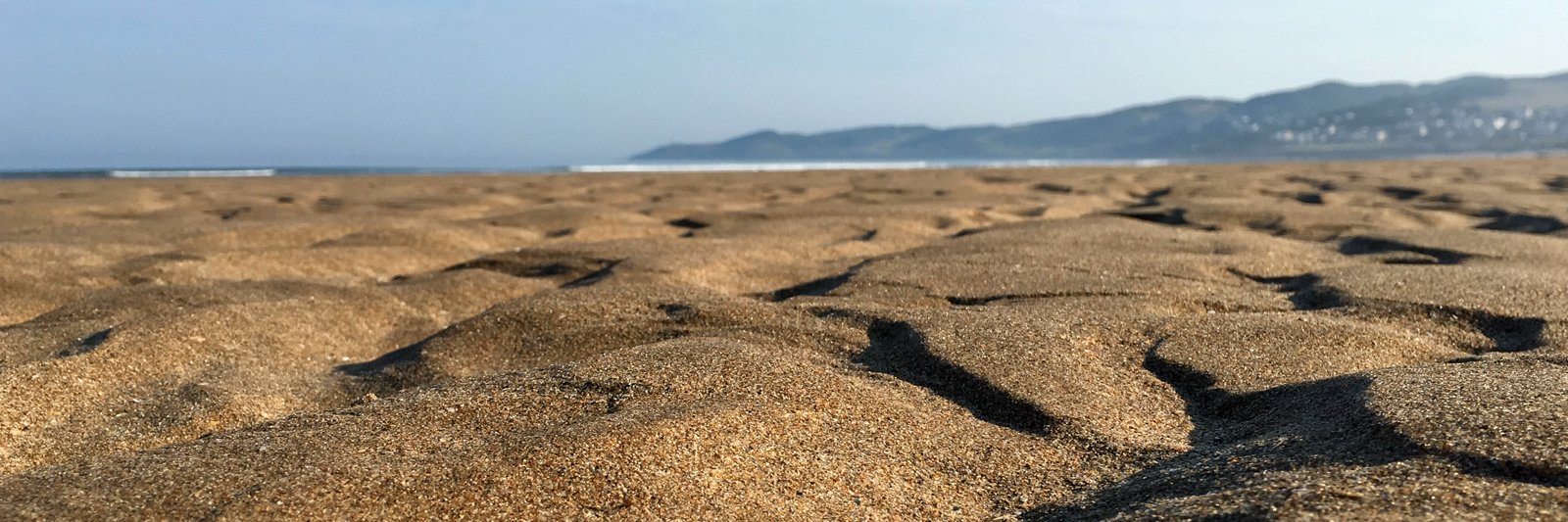 Robert Zarywacz banner