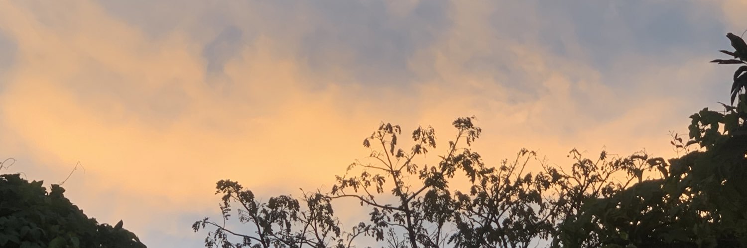lnisari_'s profile banner image
