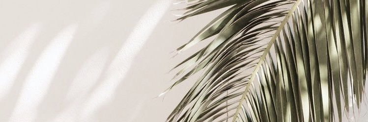 MaresaPrez's profile banner image