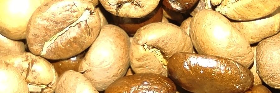 کارتل سینالوآ banner