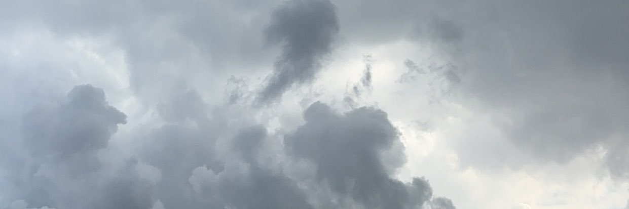 البروفيسور banner