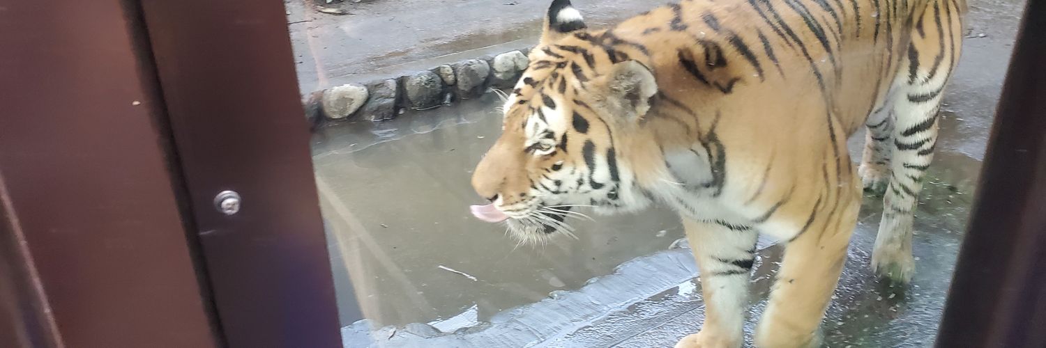 HeyShow20's profile banner image