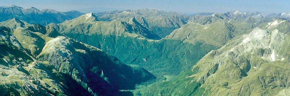 Riccardo Testolin banner