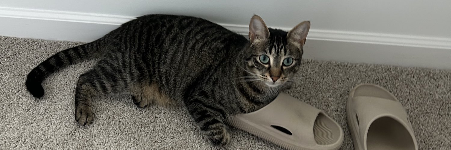 Vinnie ☦️ banner