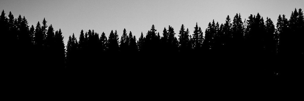 agexit's profile banner image