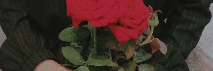 samah_hasanein's profile banner image
