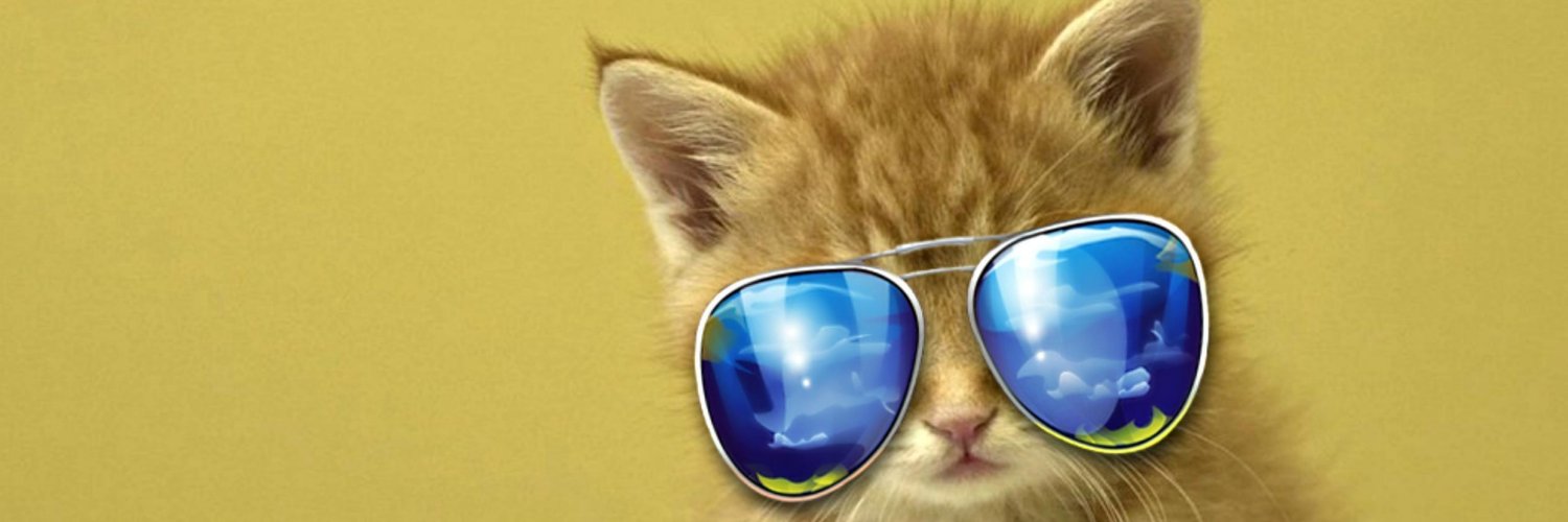 ElChanequeLoco's profile banner image