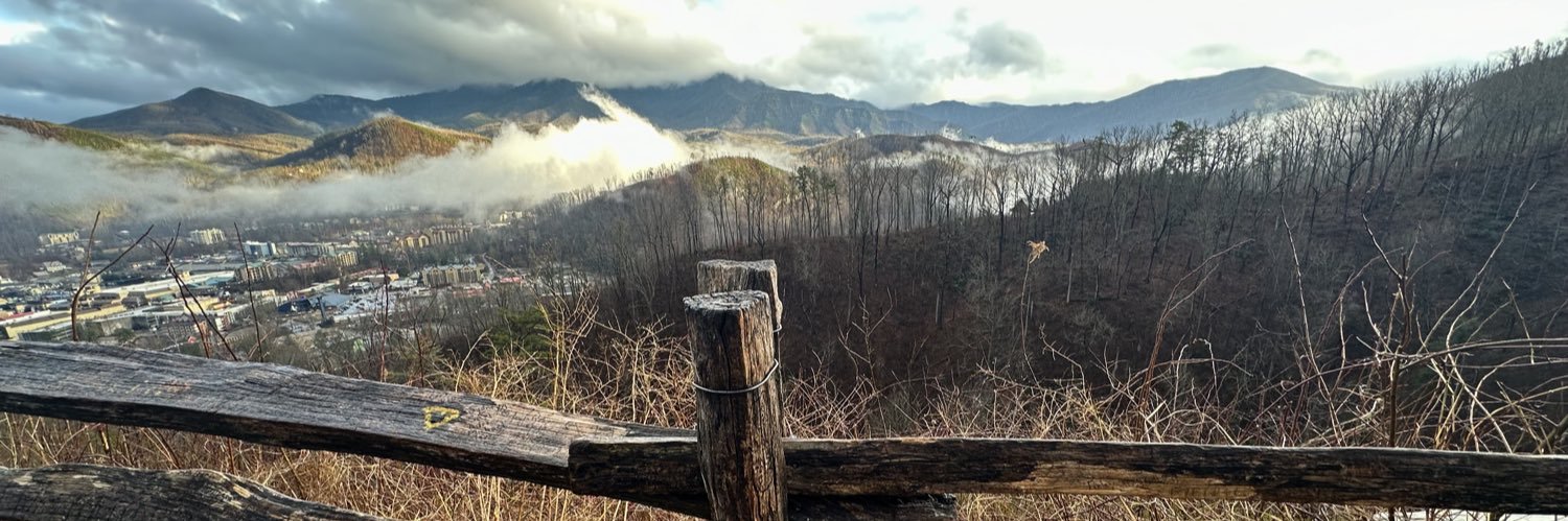 Hansel McCardentey banner