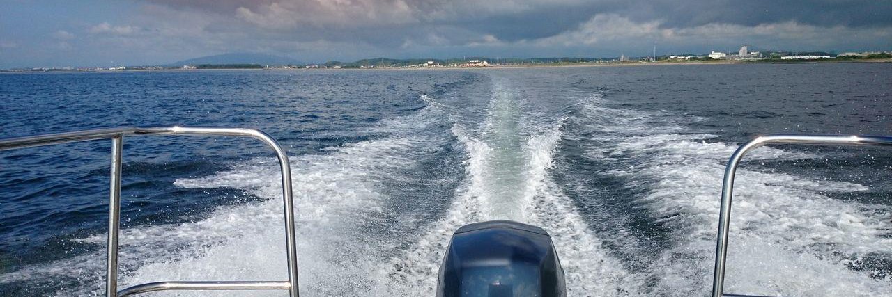 たぐりん@🕊😻🐹 banner