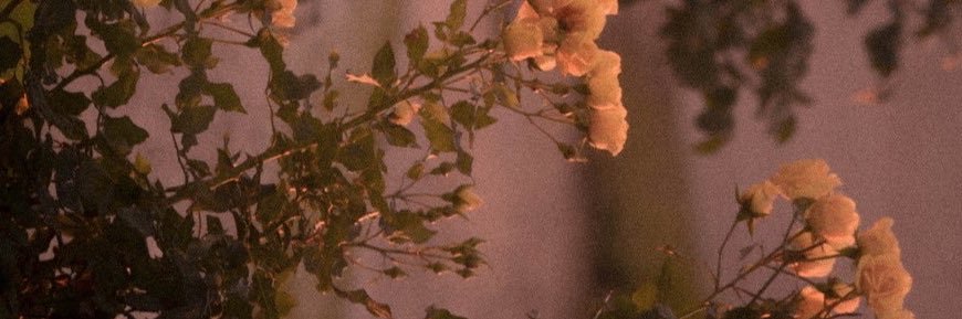 🖤OᖇIOᑎ🤎 banner