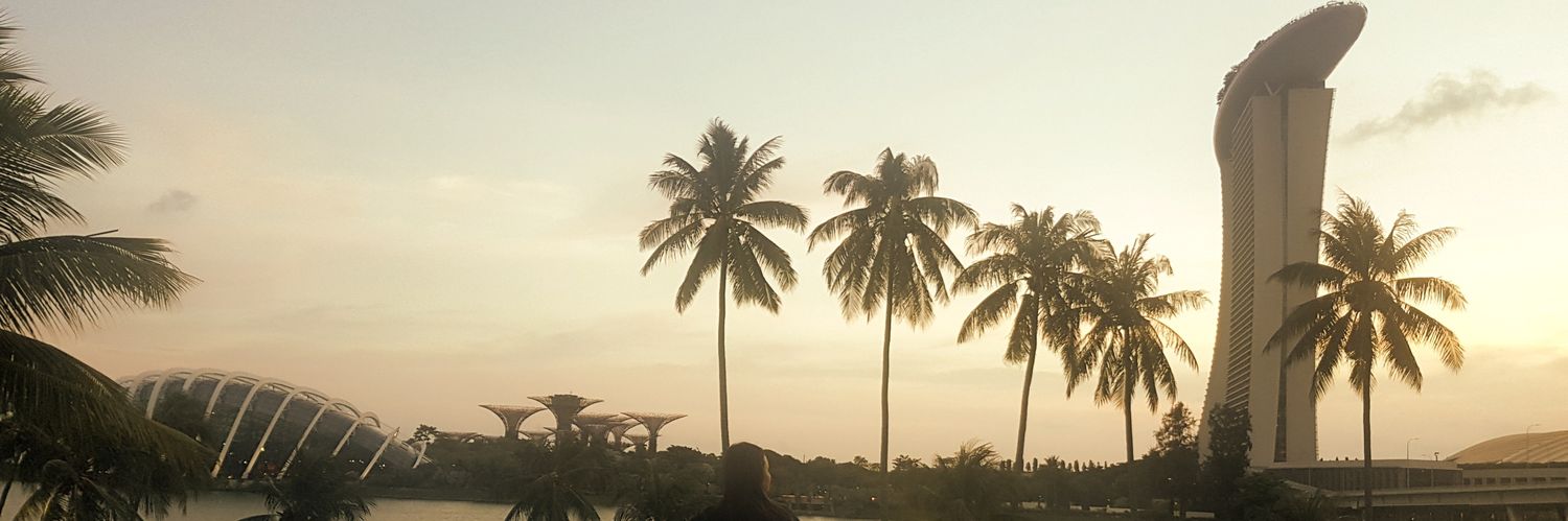 ailaling1017's profile banner image