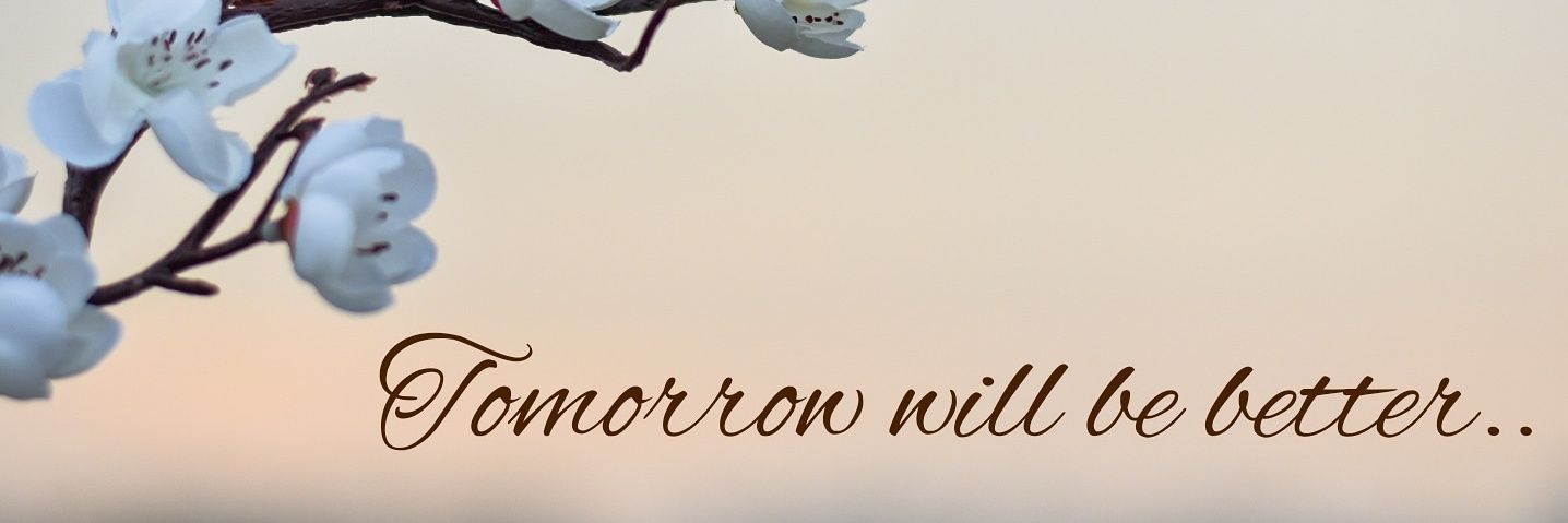 ananos_a's profile banner image