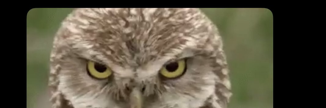 getoffmydickerson banner