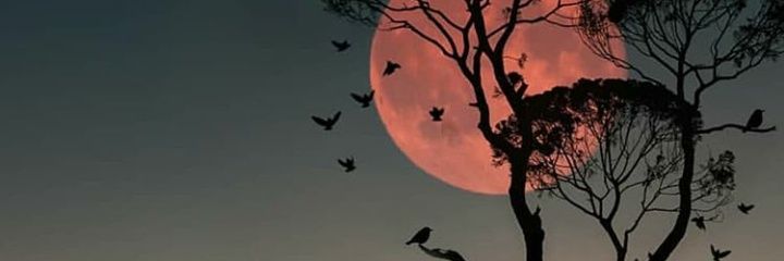 another_mehh's profile banner image