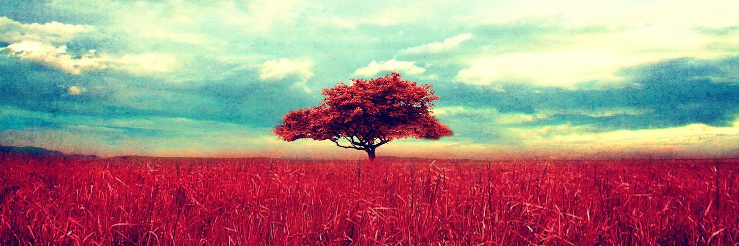 gperalesa's profile banner image