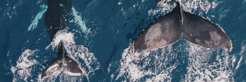 MartinLiekkas's profile banner image