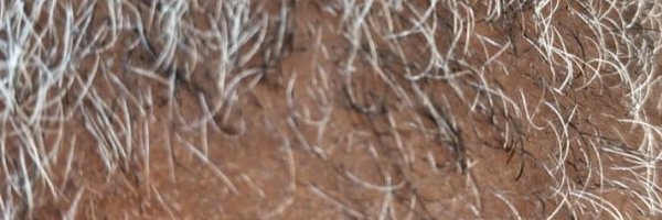 icemanB11 Profile Banner