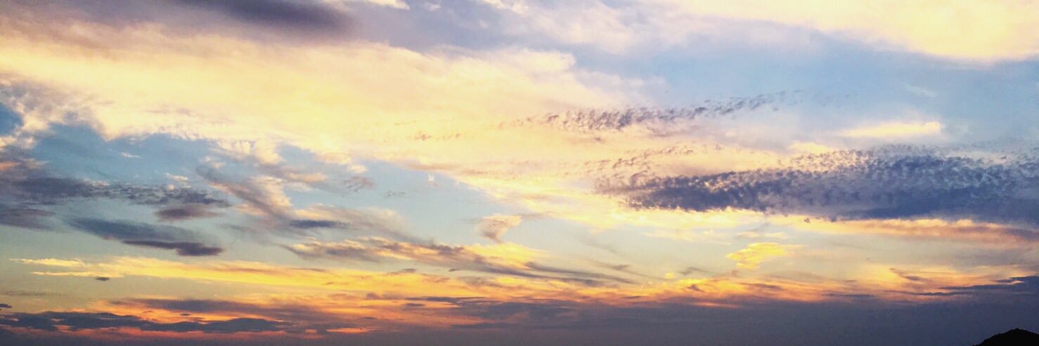 chihi1202's profile banner image