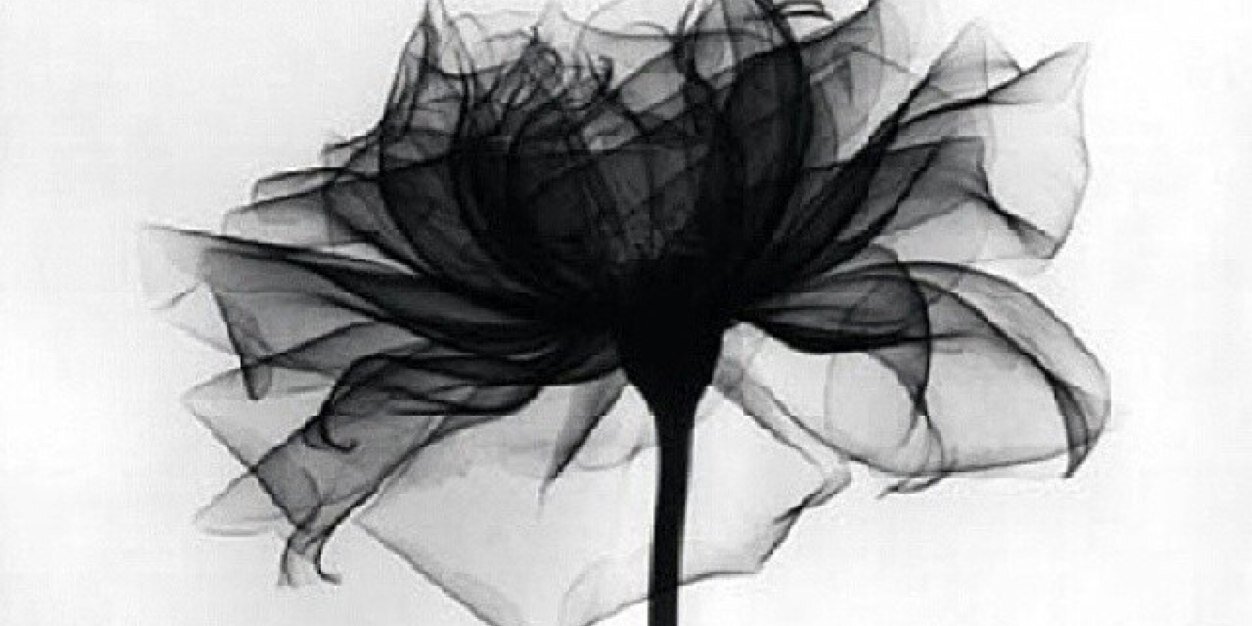 khookh_26's profile banner image